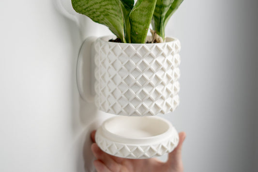 Wall Planter for Indoor Gardening - Chic Housewarming Gift & Stylish Plant Holder, bubble lattices patterns.