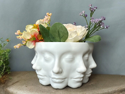 Face Planter - Unique Decorative Succulent, Indoor Plant Pot - Home and Office Decoration