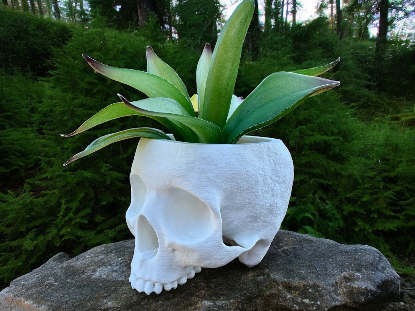 Skull Planter, Gothic Indoor Plant Pot, Halloween Decor, Succulent Holder, Home Accent, Office Desk Decor