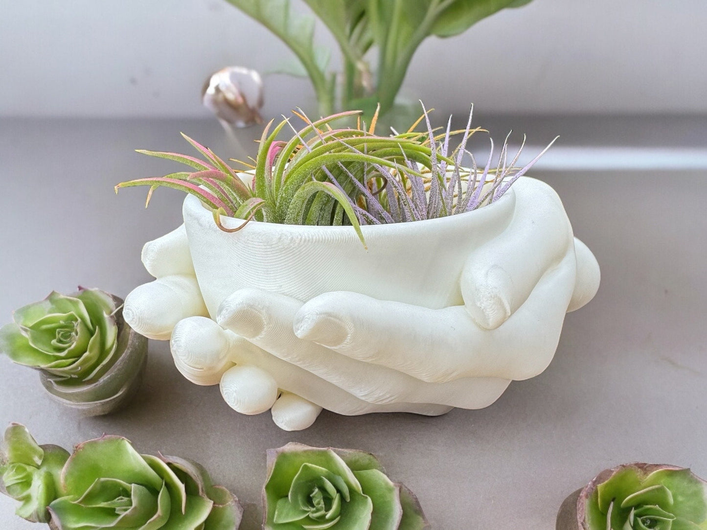 Hands Planter & Jewelry Container - Unique Decorative Holder for Desk, Succulents, Rings, Office Decor, Perfect Gift