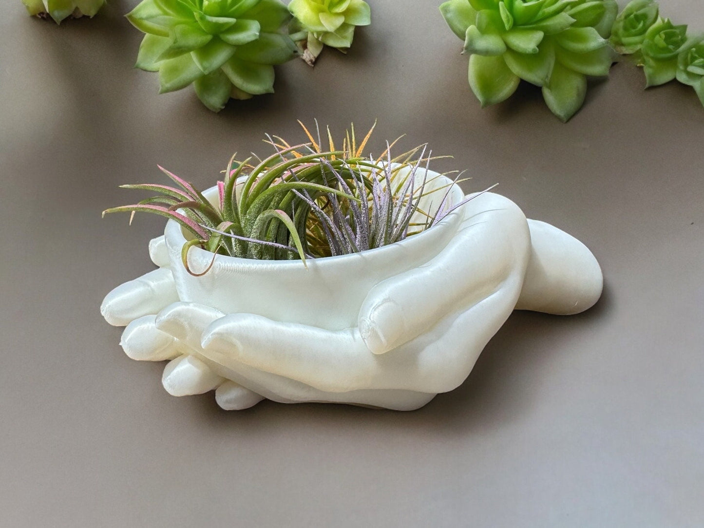 Hands Planter & Jewelry Container - Unique Decorative Holder for Desk, Succulents, Rings, Office Decor, Perfect Gift