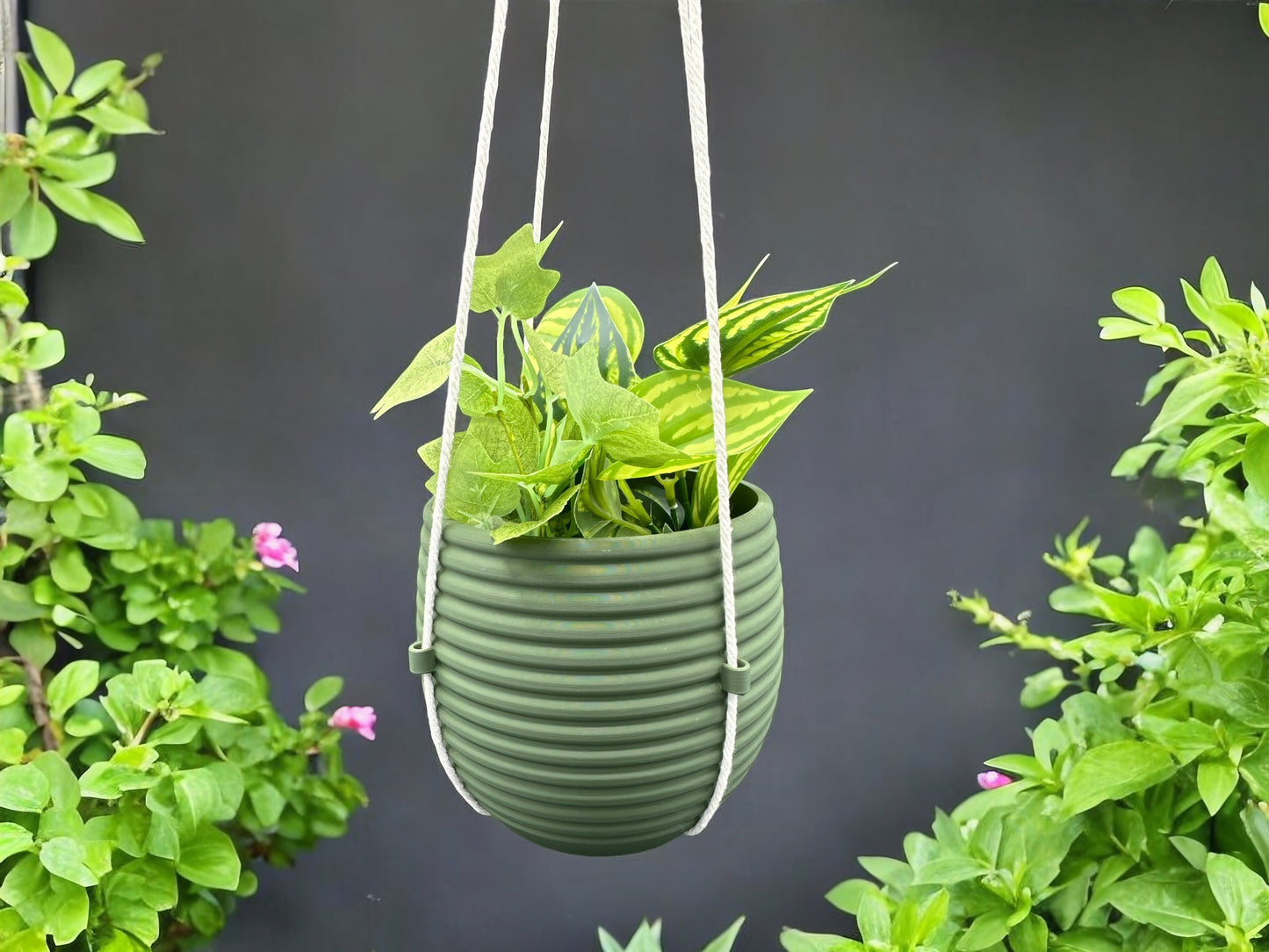 Hanging Air Planter - Hive Pot for Stylish Home Decor, Modern Planter, Wall Decor, Indoor Plants, Gift for Plant Lovers