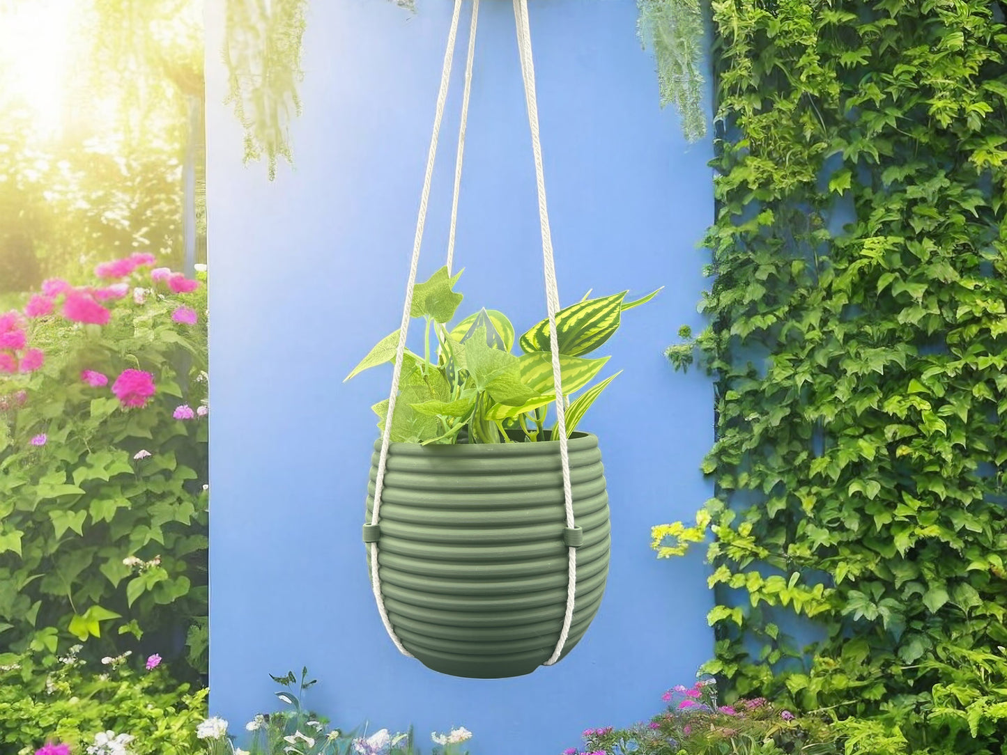 Hanging Air Planter - Hive Pot for Stylish Home Decor, Modern Planter, Wall Decor, Indoor Plants, Gift for Plant Lovers