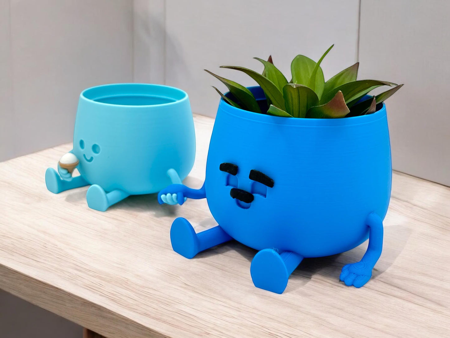 Cute Happy Face Planter | Perfect Gift for Mother's Day & Father's Day | Adorable Indoor Decor. Office and home decor.