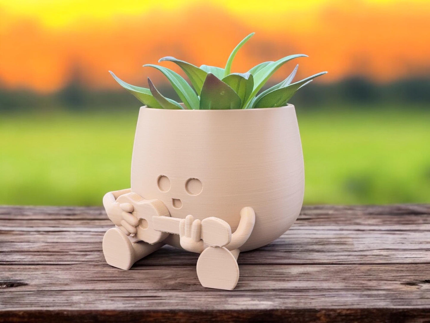 Cute Happy Face Planter and Guitar Pot - Perfect Gift for Music Lovers, Home and Office Decoration