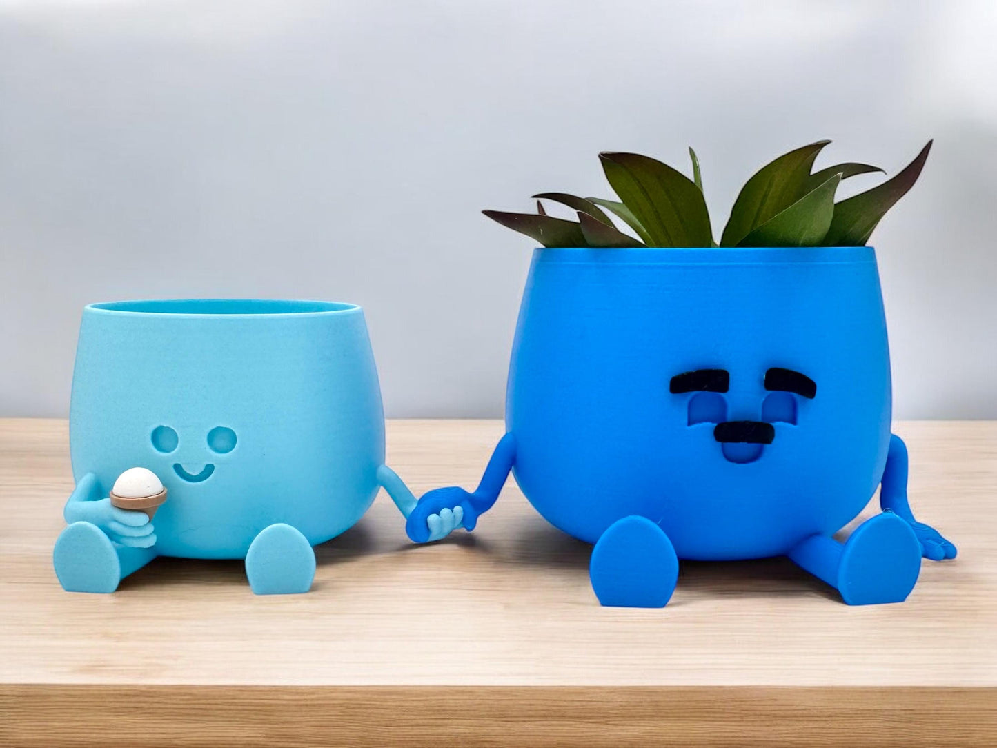 Cute Happy Face Planter | Perfect Gift for Mother's Day & Father's Day | Adorable Indoor Decor. Office and home decor.