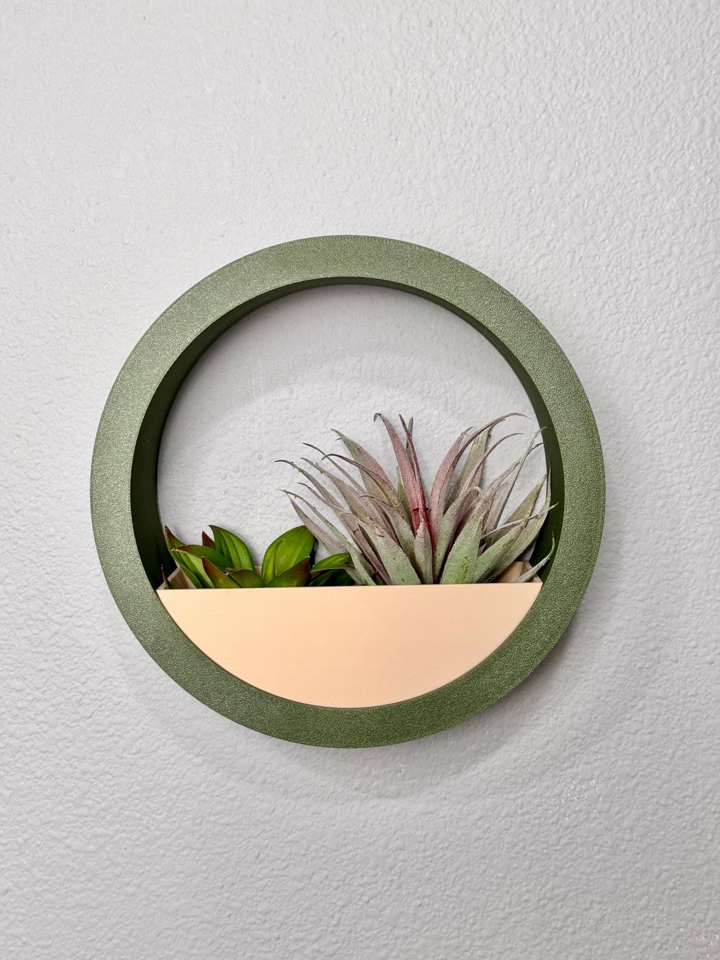 Wall Planter for Indoor Decoration - Stylish Hanging Planters for Home Decor, Modern Wall Art, Succulent and Flower